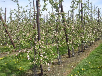 2016-01-01 15.21.46.jpg