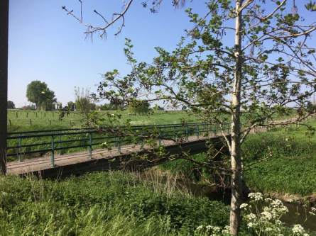 teeuwkesbrugclaerhoutwilly