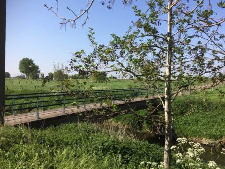 teeuwkesbrugclaerhoutwilly