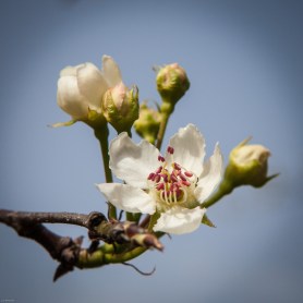 Deze afbeelding heeft een leeg alt-atribuut; de bestandsnaam is mg_0084.jpg